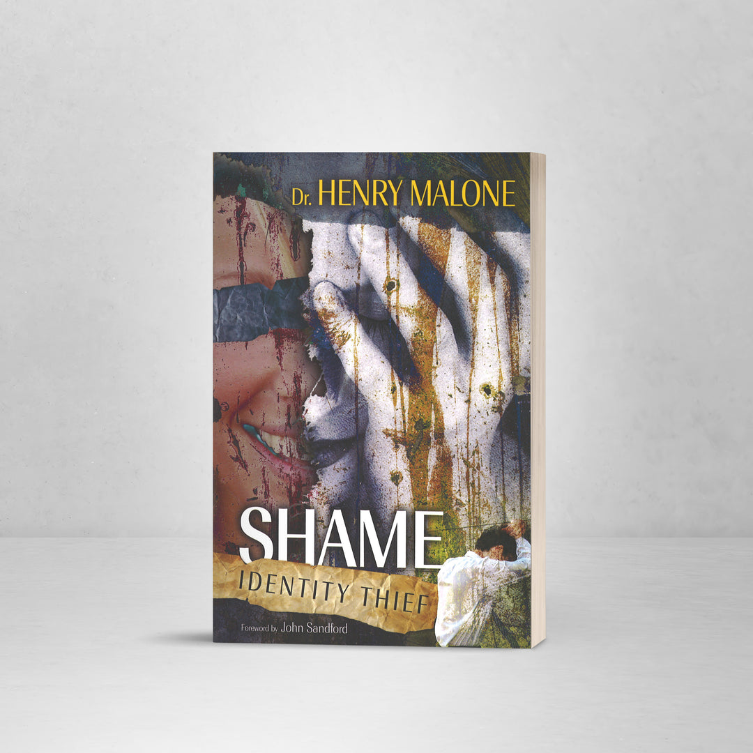 Shame: Identity Thief