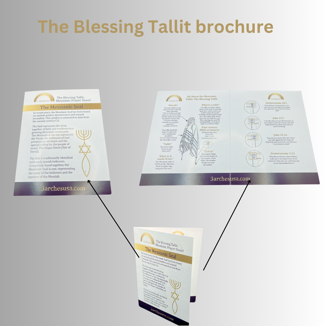 The Blessing Tallit-Prayer Shawl,Matching Bag & Brochure